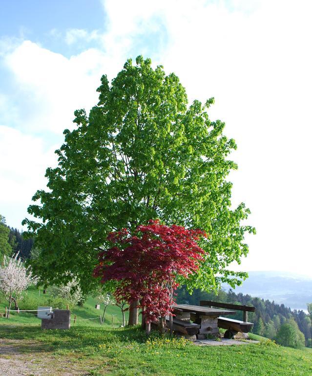 Hochsernerhof Hotel Tiefgraben Kültér fotó
